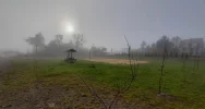 Miododajne rośliny trafiły do samorządów - trwa akcja nasadzeń - zdjęcie 3