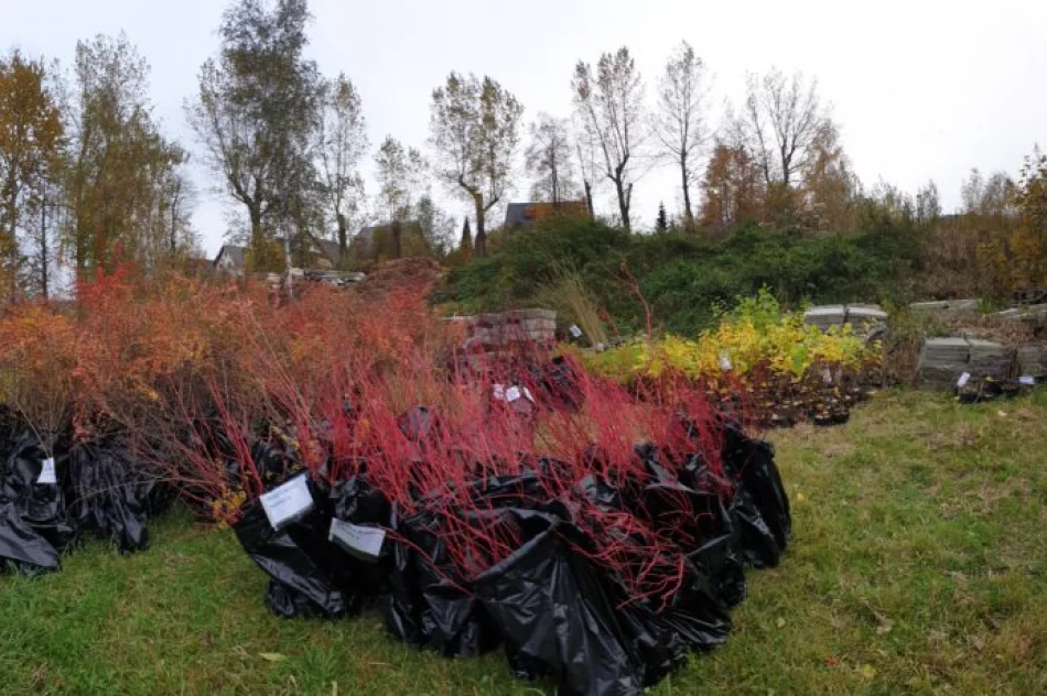 Miododajne rośliny trafiły do samorządów - trwa akcja nasadzeń - zdjęcie 4