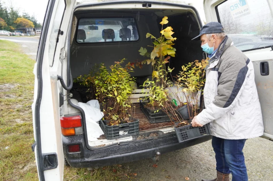 Miododajne rośliny trafiły do samorządów - trwa akcja nasadzeń - zdjęcie 5