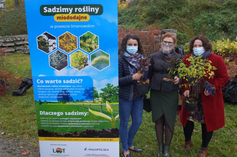 Miododajne rośliny trafiły do samorządów - trwa akcja nasadzeń - zdjęcie 6