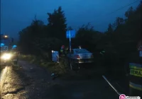 Samochód wypadł z drogi, poszkodowana musiała wrócić do szpitala - zdjęcie główne