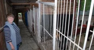 Bezpańskie czworonogi czekają na nowych właścicieli - zdjęcie 2