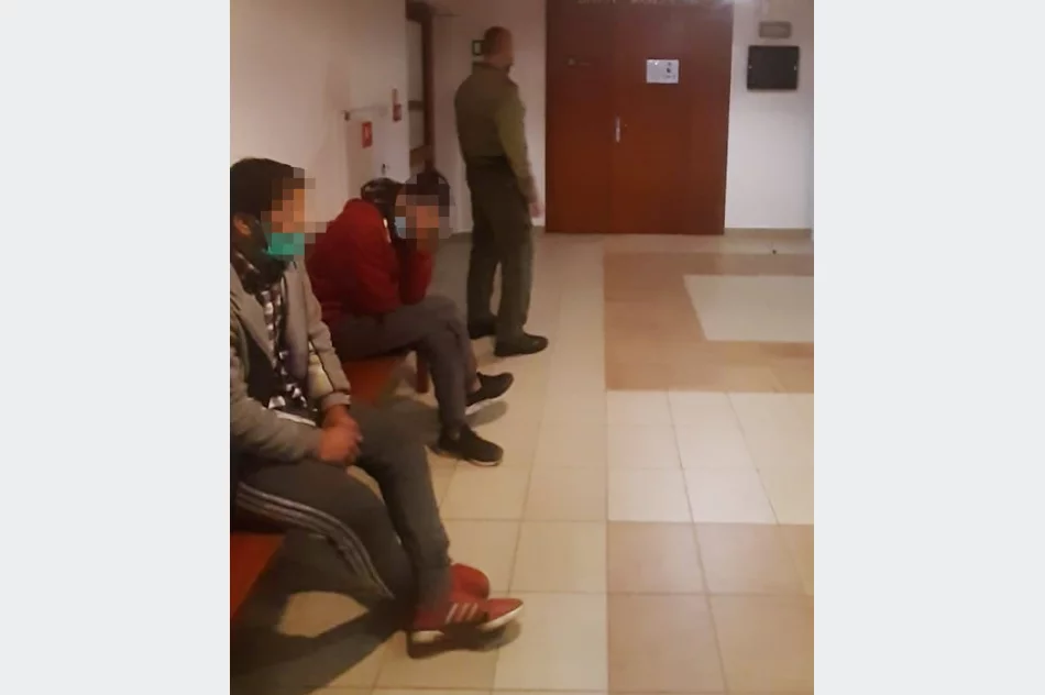 W naczepie miał być ryż, a byli też... Afgańczycy - zdjęcie 3