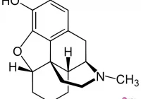 Krokodyl z Rosji zwany „narkotykiem zombie” - zdjęcie główne