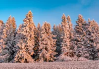 Orientacyjna prognoza pogody na najbliższy tydzień. W górach opady śniegu? - zdjęcie główne