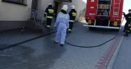 Druhowie dezynfekują miejsca publiczne - zdjęcie 5