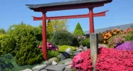 Rododendrony, azalie i ogrody japońskie.... - zdjęcie 3