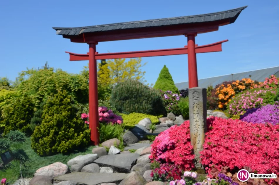 Rododendrony, azalie i ogrody japońskie.... - zdjęcie 3