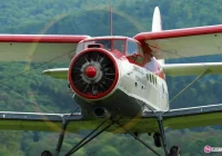 „Antek” jest za drogi w utrzymaniu - zdjęcie główne