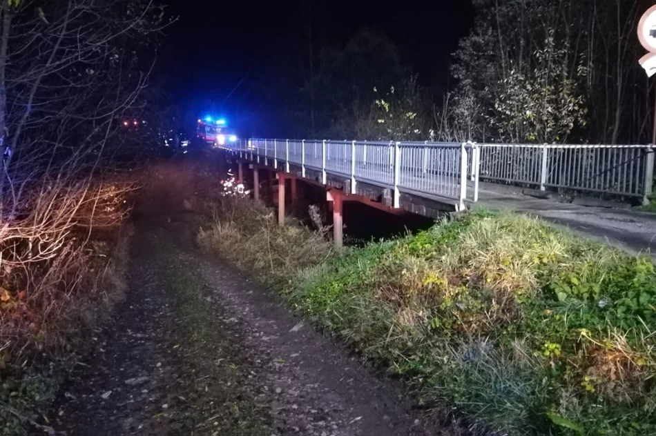 Samochód wypadł z drogi i uderzył w podporę mostu. Przeprawa została zamknięta - zdjęcie 2