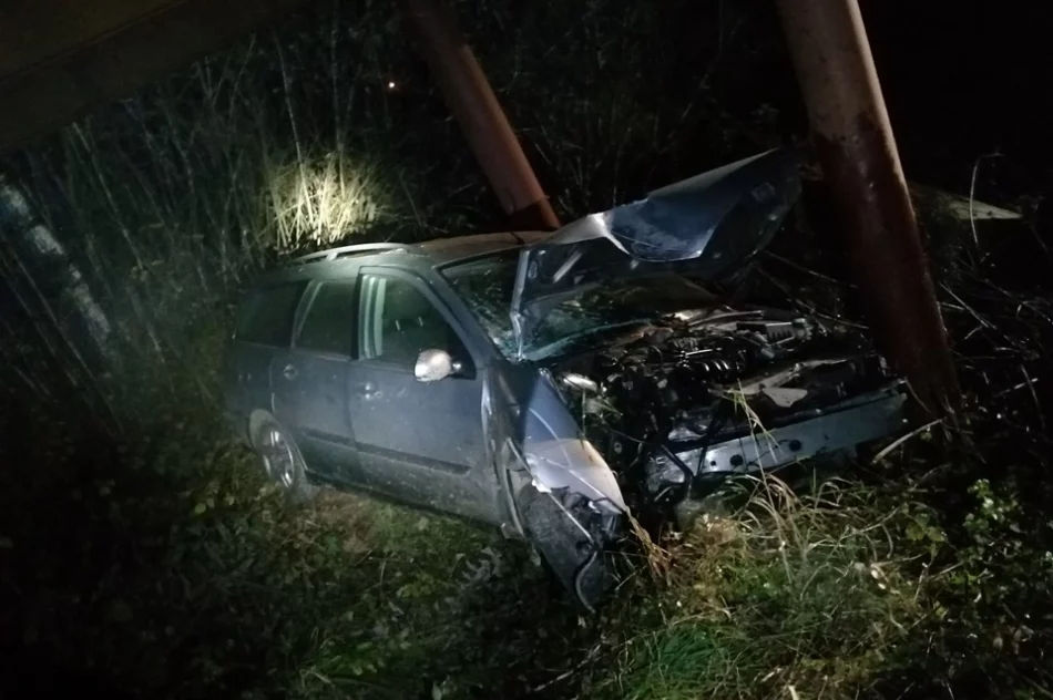 Samochód wypadł z drogi i uderzył w podporę mostu. Przeprawa została zamknięta - zdjęcie 3