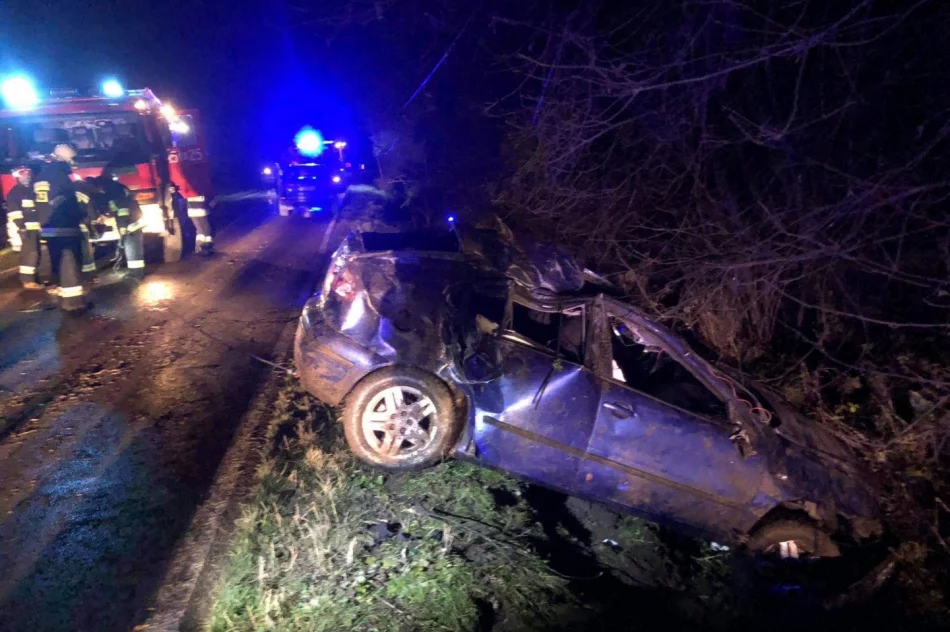 18-latek stracił panowanie, samochód dachował - zdjęcie 4