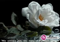 Kondolencje dla Jana Wojciarczyka - zdjęcie główne