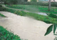 Starosta zaprzecza oskarżeniom o prywatne powiązania, a pismem jest zaskoczony - zdjęcie główne