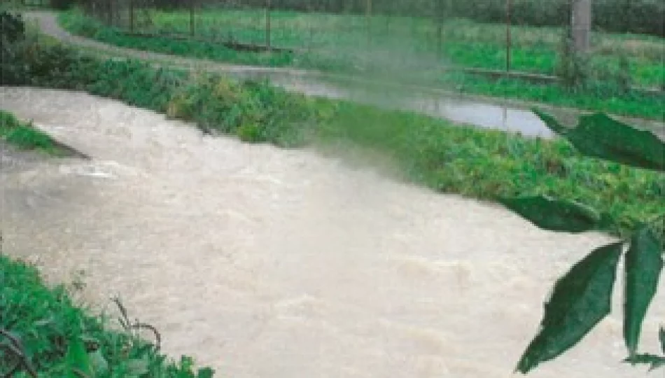 Starosta zaprzecza oskarżeniom o prywatne powiązania, a pismem jest zaskoczony - zdjęcie 1