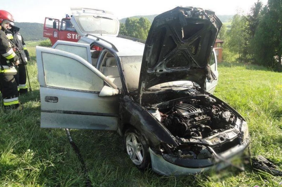 Czarnej serii na drogach ciąg dalszy - zdjęcie 3