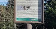 Wyjątkową ścieżką historyczno-edukacyjną można podążać po „śladzie” - zdjęcie 2