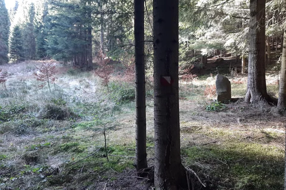 Wyjątkową ścieżką historyczno-edukacyjną można podążać po „śladzie” - zdjęcie 4