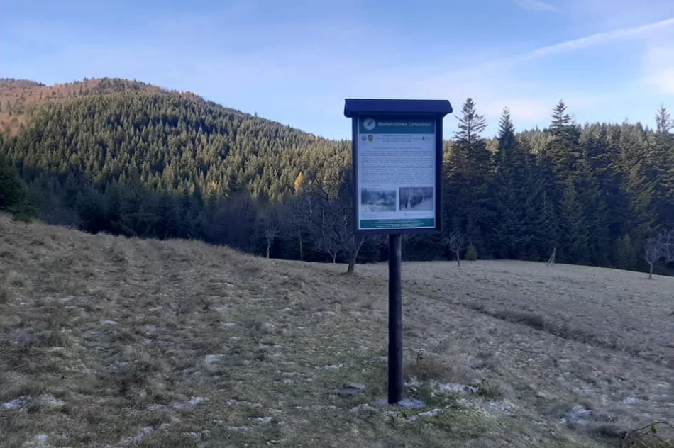 Wyjątkową ścieżką historyczno-edukacyjną można podążać po „śladzie” - zdjęcie 6