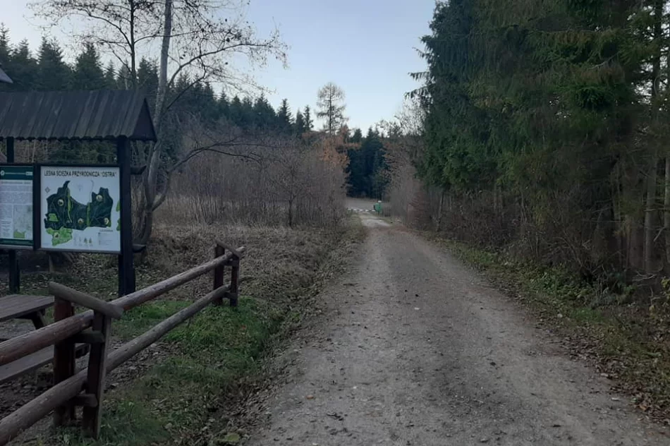 Wyjątkową ścieżką historyczno-edukacyjną można podążać po „śladzie” - zdjęcie 16
