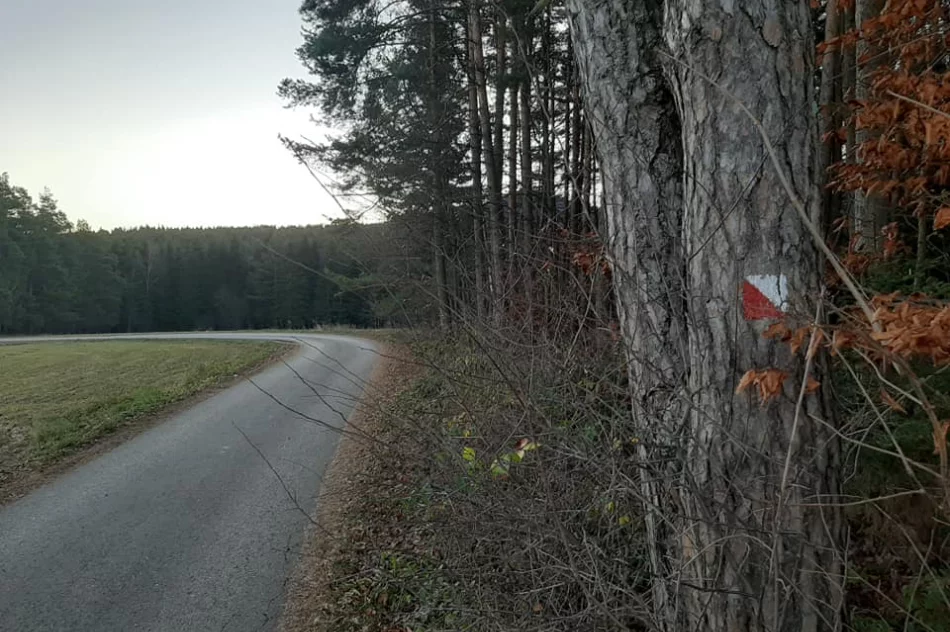 Wyjątkową ścieżką historyczno-edukacyjną można podążać po „śladzie” - zdjęcie 18
