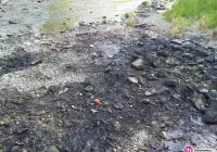 Lepka ciecz nad rzeką - ktoś wypalał m.in. przewody - zdjęcie główne