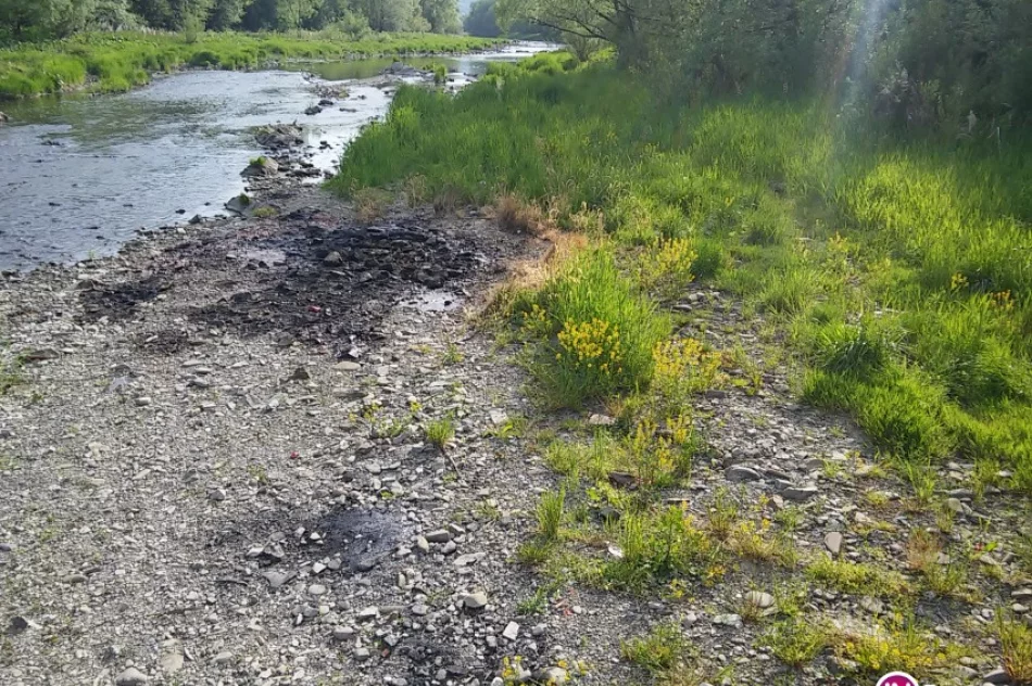 Lepka ciecz nad rzeką - ktoś wypalał m.in. przewody - zdjęcie 3