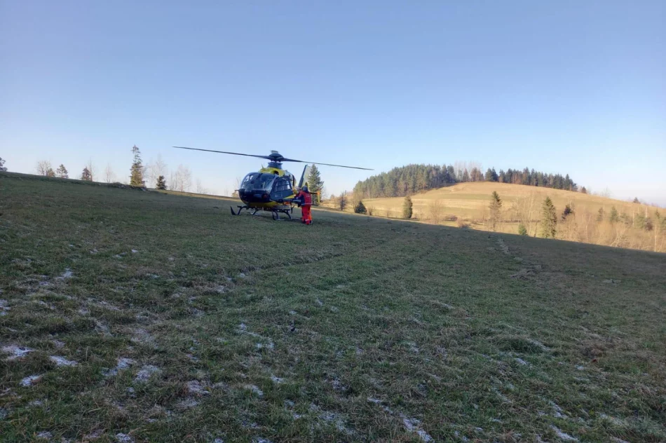 Mężczyzna ranny podczas wycinki drzew - z pomocą LPR - zdjęcie 2