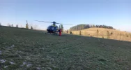 Mężczyzna ranny podczas wycinki drzew - z pomocą LPR - zdjęcie 2