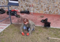 Ponad 250 krzewów przy gminnych szkołach i świetlicach wiejskich w ramach projektu LOT - zdjęcie główne