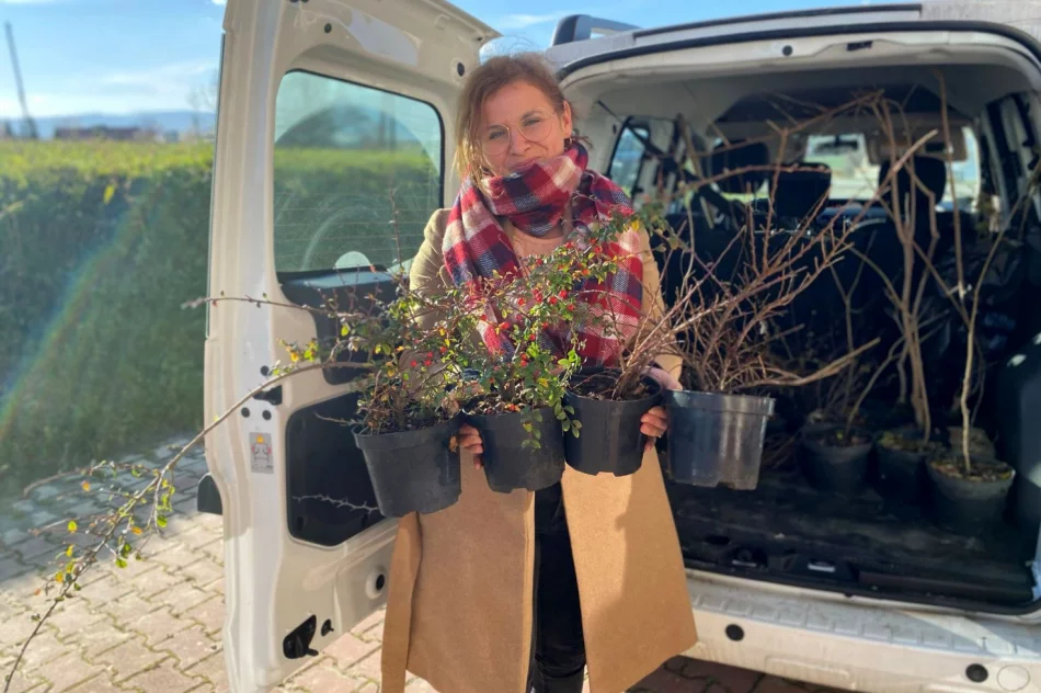 Ponad 250 krzewów przy gminnych szkołach i świetlicach wiejskich w ramach projektu LOT - zdjęcie 2