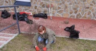 Ponad 250 krzewów przy gminnych szkołach i świetlicach wiejskich w ramach projektu LOT - zdjęcie 3