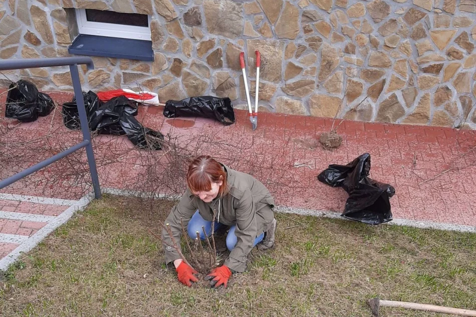 Ponad 250 krzewów przy gminnych szkołach i świetlicach wiejskich w ramach projektu LOT - zdjęcie 3