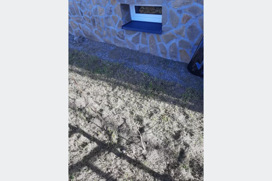 Ponad 250 krzewów przy gminnych szkołach i świetlicach wiejskich w ramach projektu LOT - zdjęcie 8