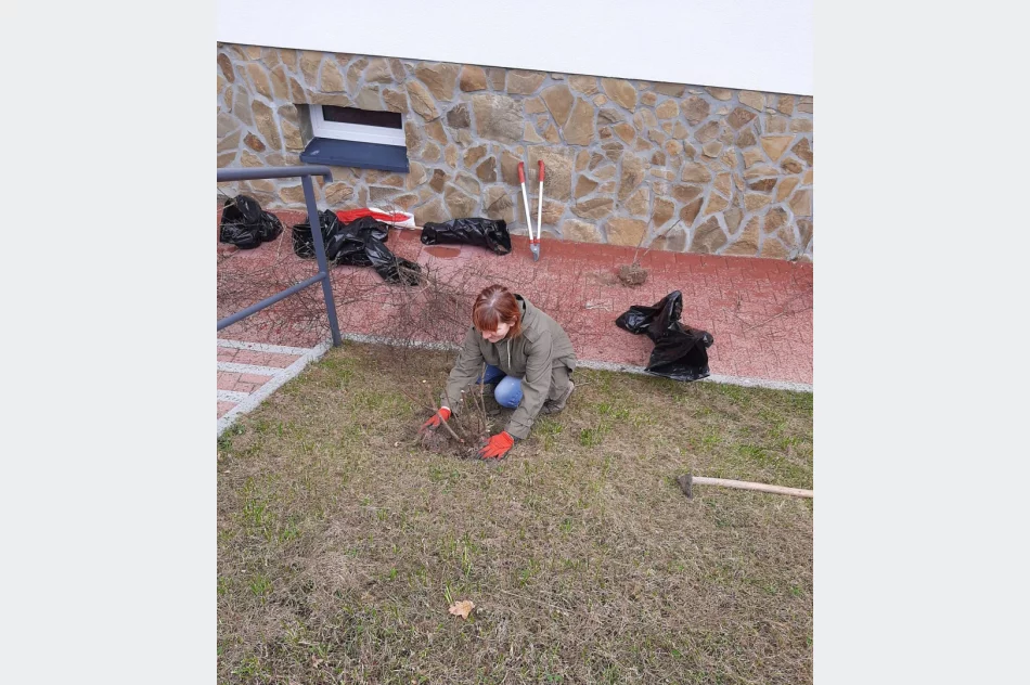 Ponad 250 krzewów przy gminnych szkołach i świetlicach wiejskich w ramach projektu LOT - zdjęcie 9