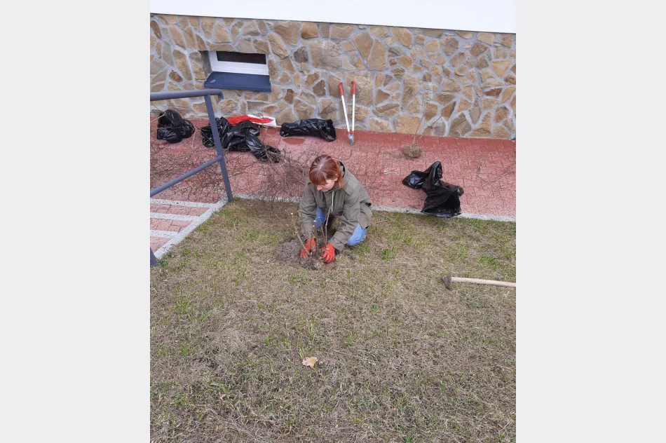 Ponad 250 krzewów przy gminnych szkołach i świetlicach wiejskich w ramach projektu LOT - zdjęcie 16