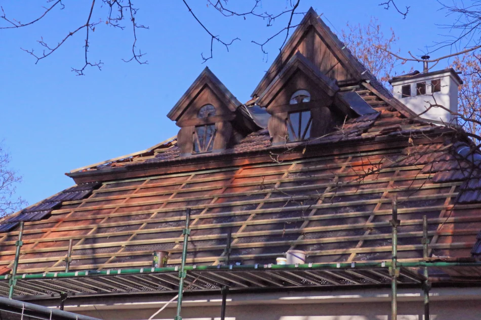 WYMIANA POSZYCIA DACHOWEGO W MUZEUM - zdjęcie 2