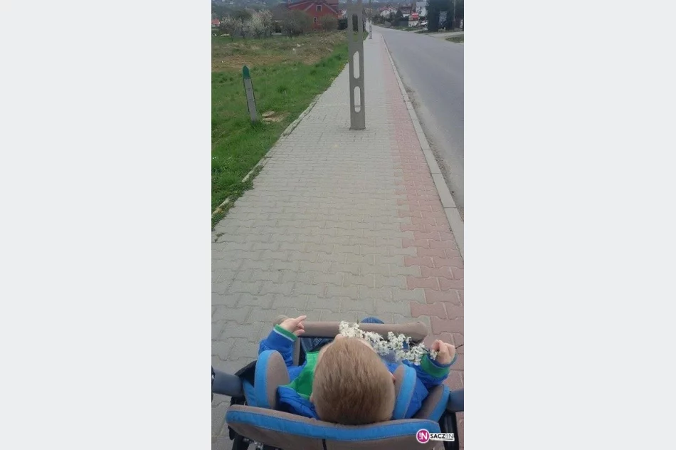 Sądeczanie nie chcą słupów na swoich działkach - zdjęcie 2