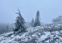 Spadł śnieg - IMiGW ostrzega kierowców i pieszych - zdjęcie główne