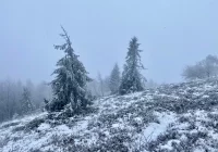 Prognoza pogody na weekend - w niedziele może posypać - zdjęcie główne