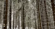 Spadł śnieg - IMiGW ostrzega kierowców i pieszych - zdjęcie 2