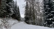 Spadł śnieg - IMiGW ostrzega kierowców i pieszych - zdjęcie 4