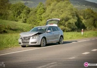 Kolejny dzień kolizji. Więcej zdarzeń z udziałem zwierząt - zdjęcie główne