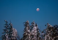 Prognoza pogody na najbliższy tydzień - zdjęcie główne