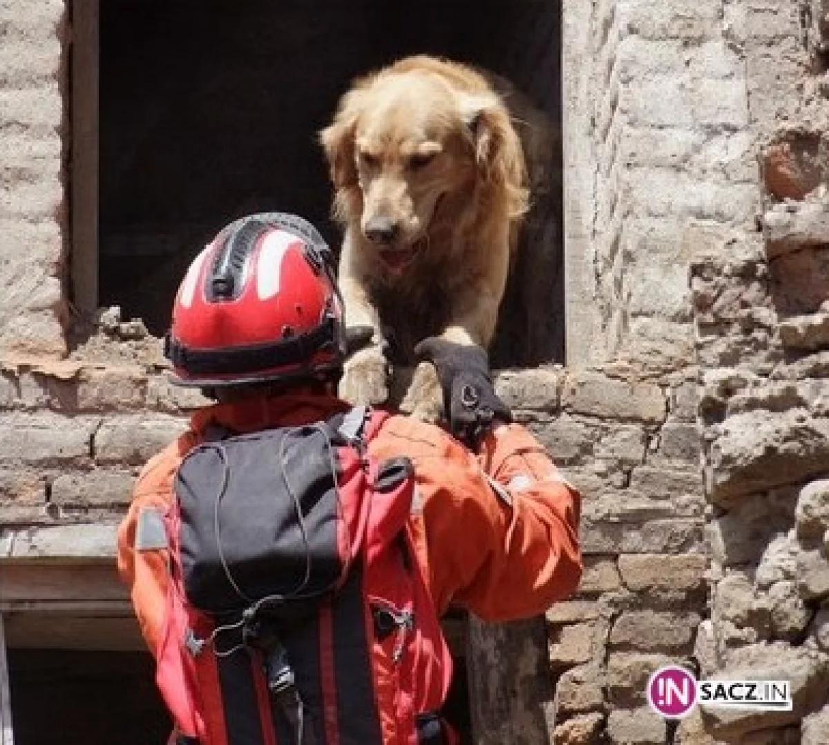 Nepal: ratownicy ścigali się z czasem