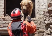 Nepal: ratownicy ścigali się z czasem - zdjęcie główne