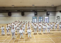 Wojewódzkie zgrupowanie limanowskich wojowników - zdjęcie główne