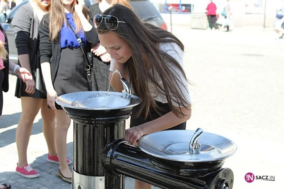 Poidełko na sądeckim Rynku już otwarte - zdjęcie 3