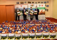 Przygotowano 240 paczek dla osób niepełnosprawnych - zdjęcie główne