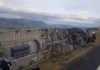 Skutki wichury w powiecie: uszkodzone dachy, powalone drzewa, przewrócone ciężarówki - zdjęcie główne